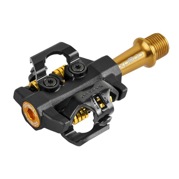 CXR Pro