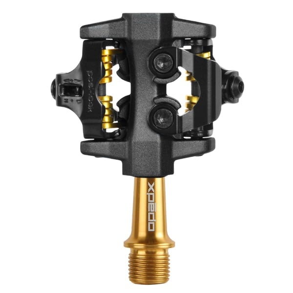 CXR Pro