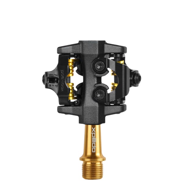 CXR Pro