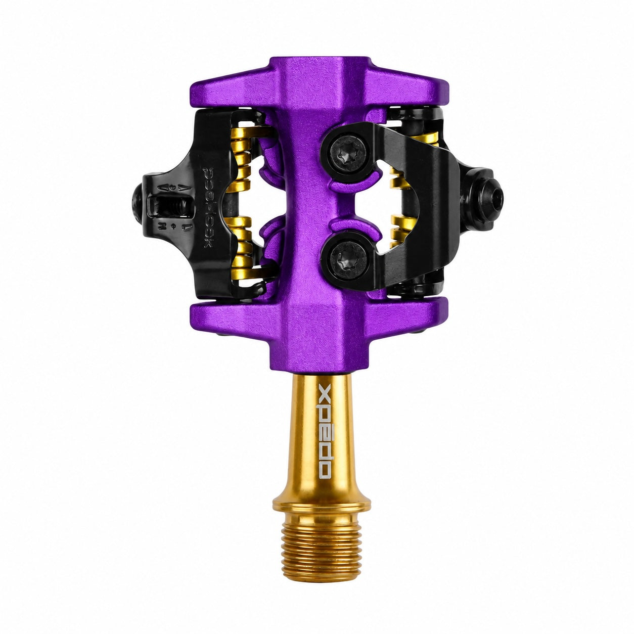 CXR Pro